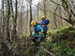 početna euforija mladih nada