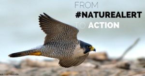 Budite #NatureAlert i kriknite za prirodu 16. svibnja!