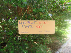 Europski volonteri Udruge Žmergo izrazili su ljubav prema stablima