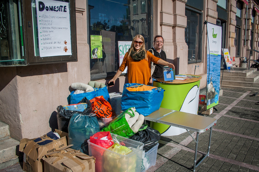 Europski volonteri Udruge Žmergo prikupljali su donacije za napuštene životinje