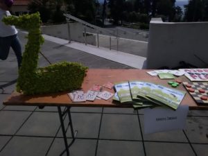 IMG_20170605_103626 - Copy