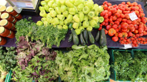 Prvi ovoljetni Ekološki sajam u Opatiji