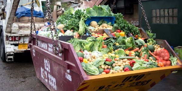 Pomozite u znanstvenom istraživanju o bacanju hrane