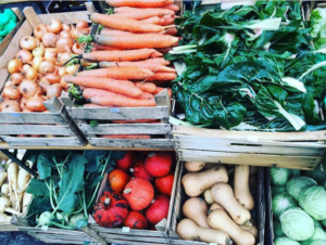 9. EKOLOŠKI SAJAM OPATIJA