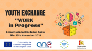 Traži se 6 sudionika razmjene mladih u Cordobi (Španjolska)