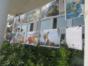 Izložba fotografija s akcije čišćenja podmorja u ACI marini