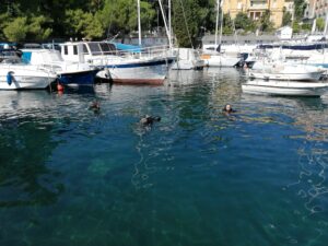 PLAVA FRONTA – Mreža za obranu obale i pomorskog dobra